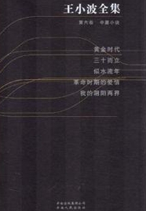王小波全集(第六卷)