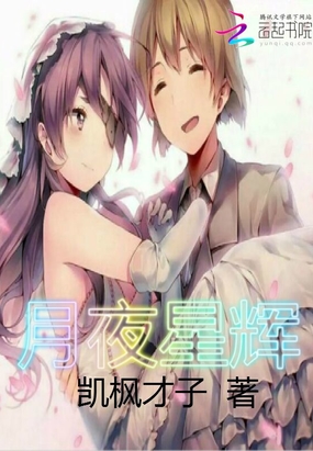 月夜星辉在线阅读
