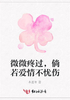 微微疼過，倘若愛情不憂傷在線閱讀