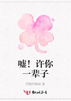 噓！許你一輩子在線閱讀