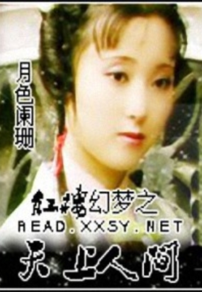 红楼幻梦之天上人间在线阅读