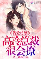 獵愛暖婚：高冷總裁很會撩在線閱讀