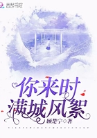 你來時滿城風絮在線閱讀