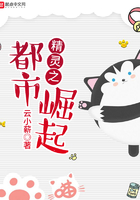 精灵之都市崛起