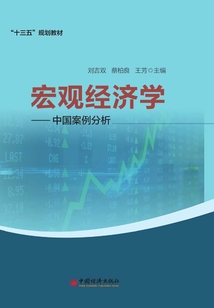 宏观经济学:中国案例分析