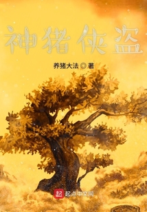 神豬俠盜