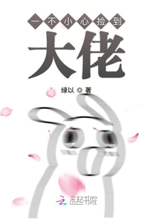 一不小心撿到大佬
