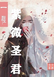 一體-紫微圣君
