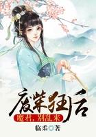 废柴狂后:魔君,别乱来在线阅读
