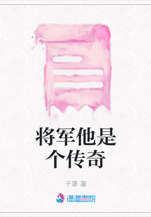 將軍他是個傳奇