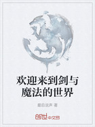 欢迎来到剑与魔法的世界在线阅读