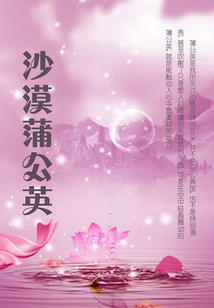 沙漠蒲公英