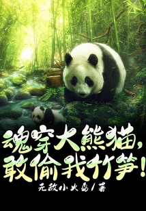 魂穿大熊貓，敢偷我竹筍！