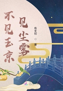 不見玉京見塵霧