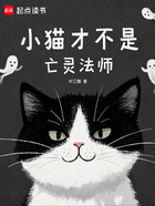小猫才不是亡灵法师在线阅读