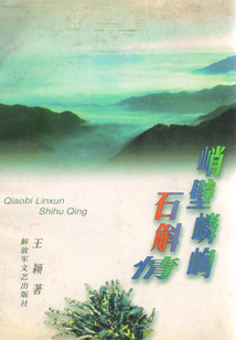 峭壁嶙峋石斛情