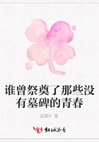 誰曾祭奠了那些沒有墓碑的青春在線閱讀