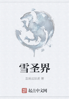 雪圣界在線閱讀