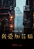 我愛加菲貓在線閱讀
