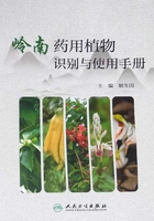 岭南药用植物识别与使用手册