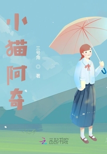 小貓阿奇