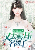 陆爷,夫人又去碾压名媛了!在线阅读