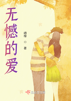 无憾的爱
