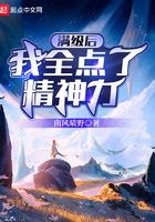 满级后我全点了精神力