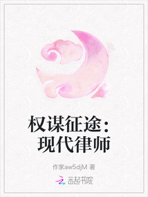 權謀征途：現代律師