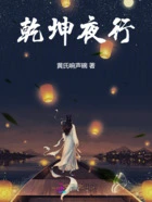 乾坤夜行在线阅读