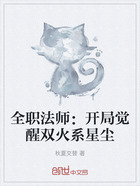 全职法师:开局觉醒双火系星尘在线阅读