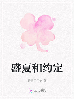 盛夏和约定在线阅读