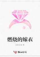燃燒的嫁衣在線閱讀