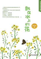 飘在水上的花