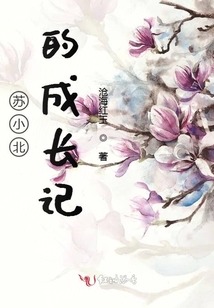 蘇小北的成長記