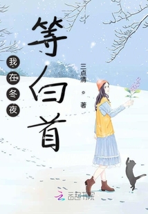 我在冬夜等白首