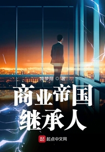商业帝国继承人