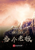 我真的只是想当个老板