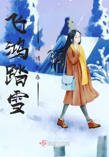 飛鴻踏雪舊情無痕