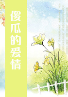 傻瓜的愛情在線閱讀