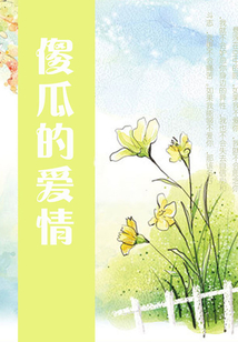 傻瓜的愛情