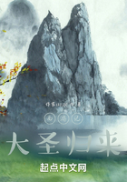 西游记大圣归来