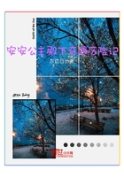 安安公主殿下奇遇历险记