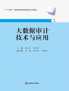 大数据审计技术与应用在线阅读