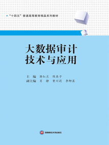 大數據審計技術與應用