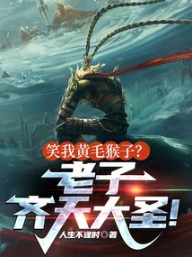 Are You Laughing at Me, a Yellow-haired Monkey? I Am the Monkey King!