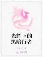光辉下的黑暗行者在线阅读