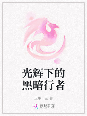 光辉下的黑暗行者在线阅读