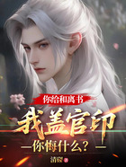 你给和离书,我盖官印你悔什么?在线阅读
