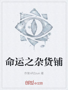 命运之杂货铺在线阅读